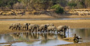 Zambia | Victoria Falls Majesty | The Ultimate Travel Company