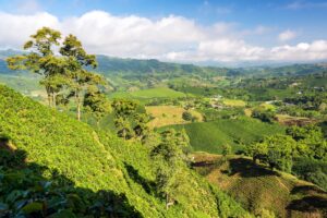 Colombia | Zona Cafetera | The Ultimate Travel Company