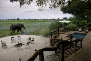 Elephant Seen From Sanctuary Stanley’s Camp, Okavango Delta | Luxury Botswana Safaris | The Ultimate Travel Company