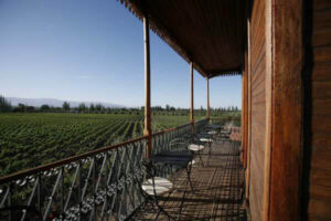Club Tapiz, Chacras De Coria, Wine Region | The Ultimate Travel Company