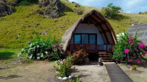 Komodo Resort & Diving Club | Indonesia | Ultimate Travel Co