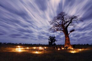 Mapula Lodge, Okavango Delta | Ultimate Travel Company