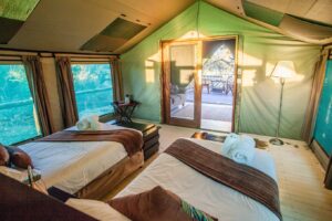 Pom Pom Camp, Okavango Delta Safari | Ultimate Travel Company