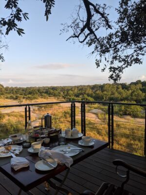 Dulini Leadwood Lodge | South Africa | Ultimate Travel Company
