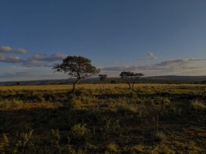 Leobo Private Reserve | South Africa | Ultimate Travel Company