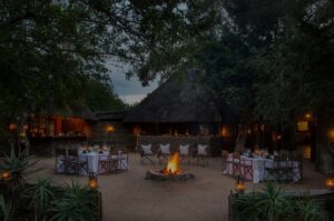 Savanna Private Game Reserve | South Africa | Ultimate Travel Co