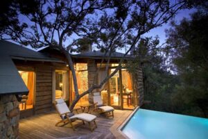 Tsala Treetop Lodge | South Africa | Ultimate Travel Company
