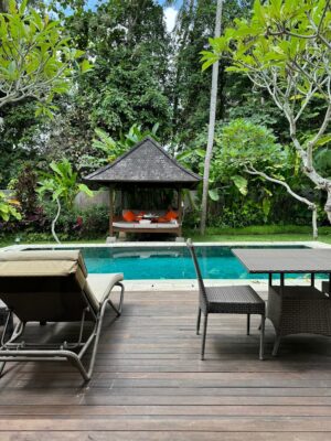 The Samaya, Ubud - Bali | Ultimate Travel Company