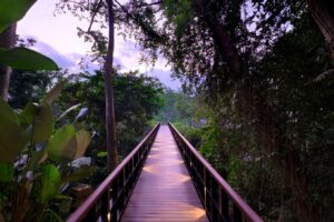 Kayumanis Ubud Private Villa & Spa, Bali | Ultimate Travel Company