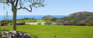 One&only Palmilla | Los Cabos | The Ultimate Travel Company