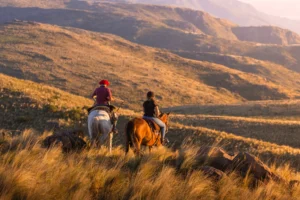 Estancia Horses | Argentina Holidays | The Ultimate Travel Company