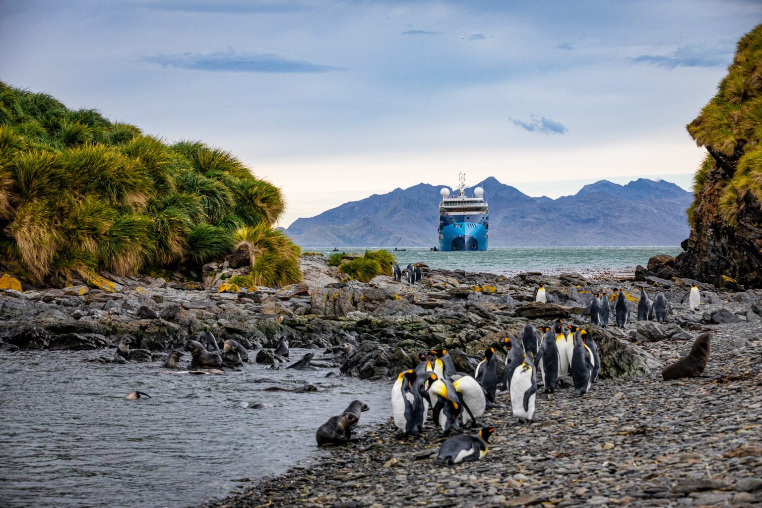 Ocean Victory | The Ultimate Travel Company