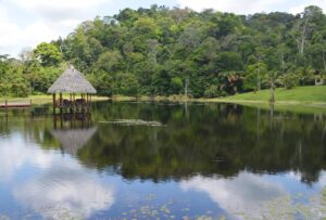 Maquenque Eco-lodge, Boca Tapada | Costa Rica | Lake | The Ultimate Travel Company