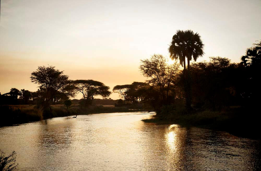 CHADA CAMP, KATAVI, TANZANIA | Africa | Calm river | The Ultimate Travel Company