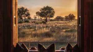 Chitabe Camp Okavango Delta, Botswana | Ultimate Travel Co