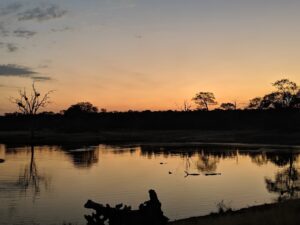 Dulini Leadwood Lodge | South Africa | Ultimate Travel Company