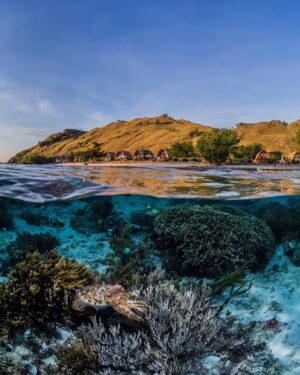 Komodo Resort & Diving Club | Indonesia | Ultimate Travel Co