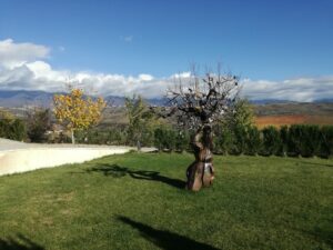 Zornitza Family Estate Relais & Chateaux, Melnik | Ultimate Travel Co