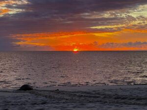 Heron Island Resort, Heron Island | Ultimate Travel Company