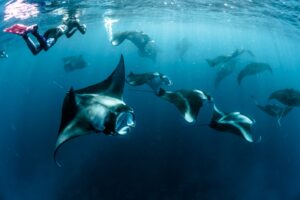 Vakkaru | Maldives | Ultimate Travel Company