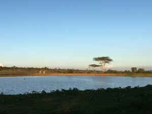 Kicheche Laikipia Camp, Laikipia | Ultimate Travel Company