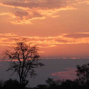 Xugana Island Lodge | Botswana | Ultimate Travel Company