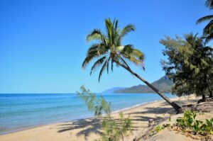 Thala Beach Nature Reserve, Port Douglas | Bridge & Wickers
