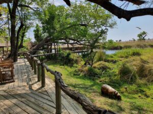 Camp Xakanaxa | Botswana | Ultimate Travel Company