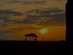 Kicheche Laikipia Camp, Laikipia | Ultimate Travel Company