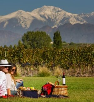 Entre Cielos, Lujan De Cuyo, Wine Region | The Ultimate Travel Company