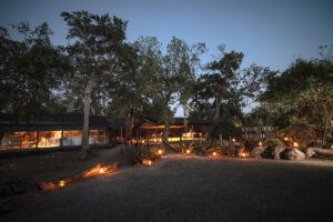 Yala National Park at Night | Sri Lanka Holidays | The Ultimate Travel Company