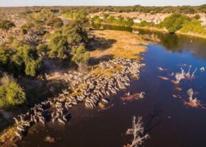 Meno A Kwena, Makgadikgadi Pans | Botswana | aerial view of Meno A Kwena, Makgadikgadi Pans | The Ultimate Travel Company
