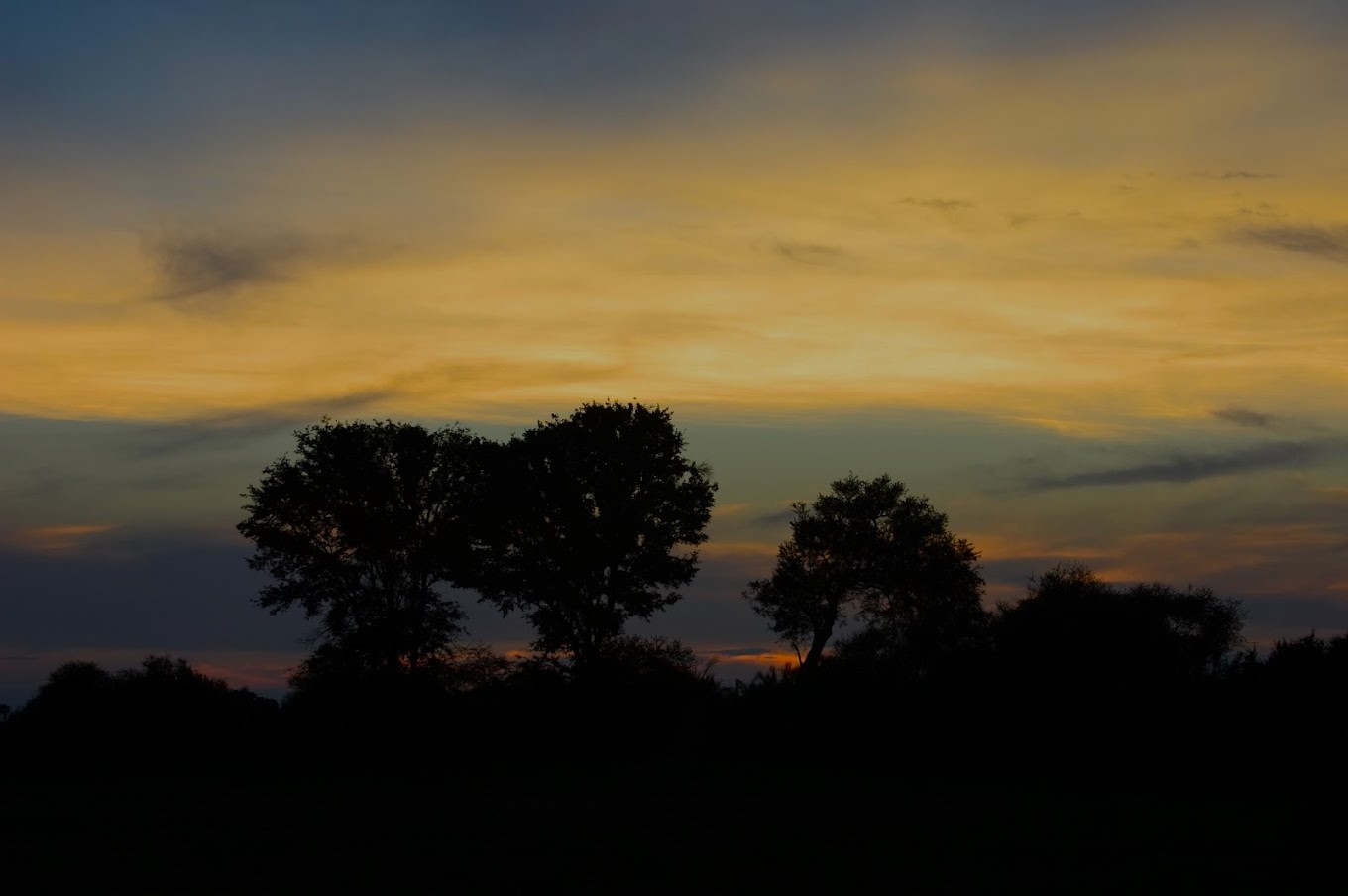 Mombo Camp, Okavango | Ultimate Travel Company