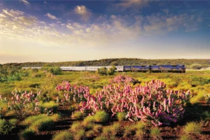 The Indian Pacific Railway, Australia| Ultimate Travel Company