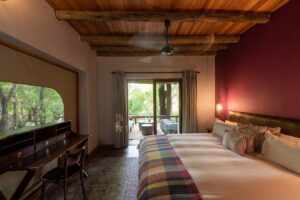 Jaci’s Lodges, Madikwe | South Africa | Ultimate Travel Company