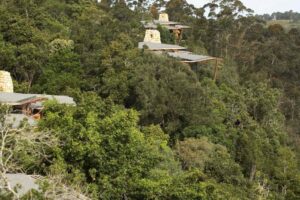 Tsala Treetop Lodge | South Africa | Ultimate Travel Company