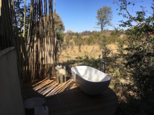 Sable Alley, Khwai Private Reserve | Ultimate Travel Company