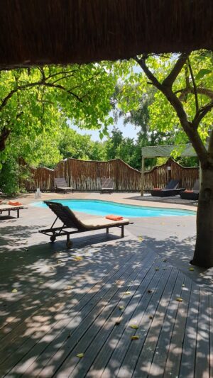 Pom Pom Camp, Okavango Delta Safari | Ultimate Travel Company