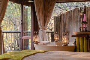 Jaci’s Lodges, Madikwe | South Africa | Ultimate Travel Company