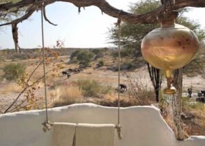 Meno A Kwena, Makgadikgadi Pans | Botswana | aerial view | The Ultimate Travel Company