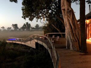 Mombo Camp, Okavango | Ultimate Travel Company