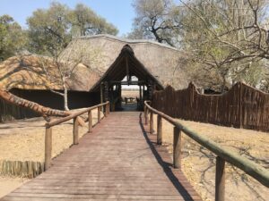 Pom Pom Camp, Okavango Delta Safari | Ultimate Travel Company