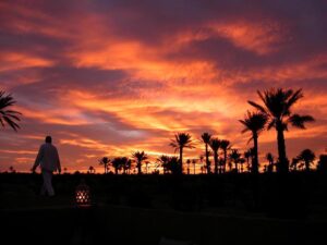 Les Jardins De Skoura | Morocco | Ultimate Travel Company