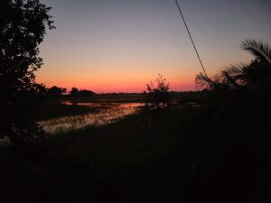 Jacana Camp, Okavango Delta | Ultimate Travel Company