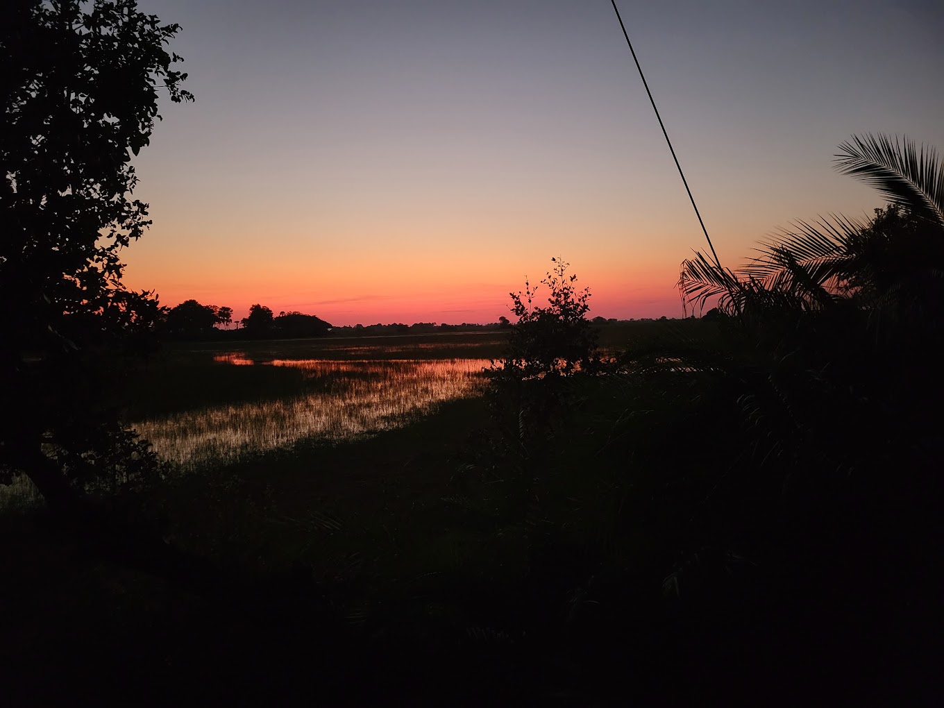 Jacana Camp, Okavango Delta | Ultimate Travel Company