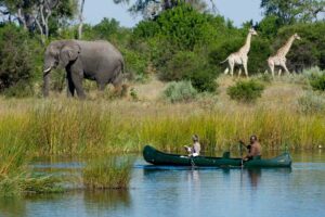 Savuti Camp, Linyanti Reserve | Ultimate Travel Company