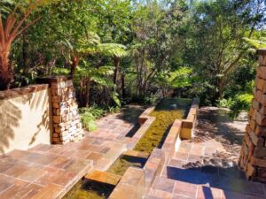 Tsala Treetop Lodge | South Africa | Ultimate Travel Company