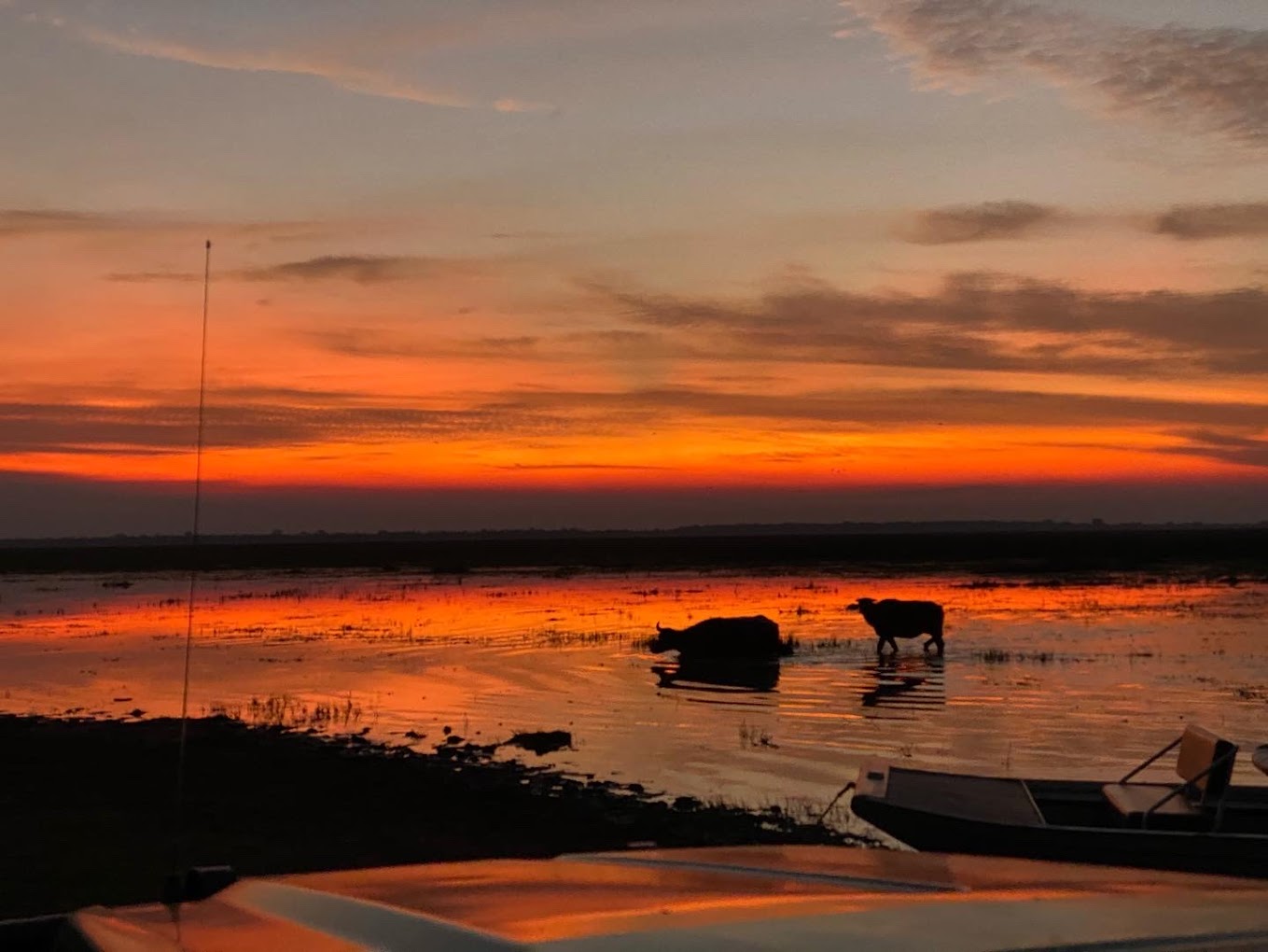 Bamurru Plains, Kakadu National Park | Safari Suite, Australia | Bridge & Wickers