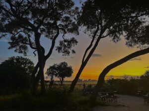 Splash Camp, Okavango Delta | Ultimate Travel Company