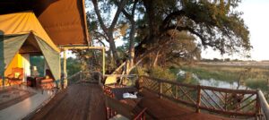 Pom Pom Camp, Okavango Delta Safari | Ultimate Travel Company